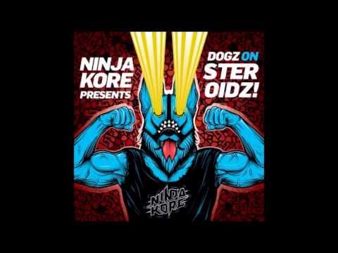 NINJA KORE - DOGZ ON STEROIDZ (dj set)
