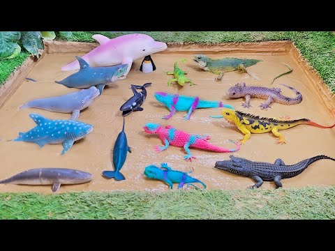 Clash of the Titans: Sea Creatures vs. Giant Lizards - An Epic Animal Showdown