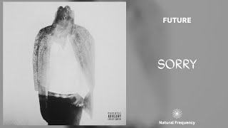 Future - Sorry (432Hz)