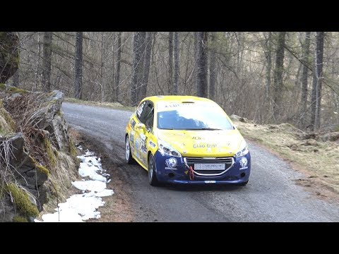 CLIP 6°Rally 2 Laghi 2019 Pelgantini - Roberti by Ferrario