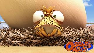 Oscar The Baby Chick | Oscar's Oasis Kids Cartoons