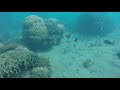 Exploring the underwater trail of Île aux Canards