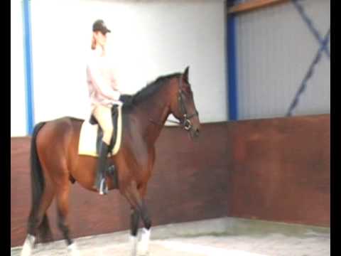 lorencaccio - lord sinclair 1 x grannus