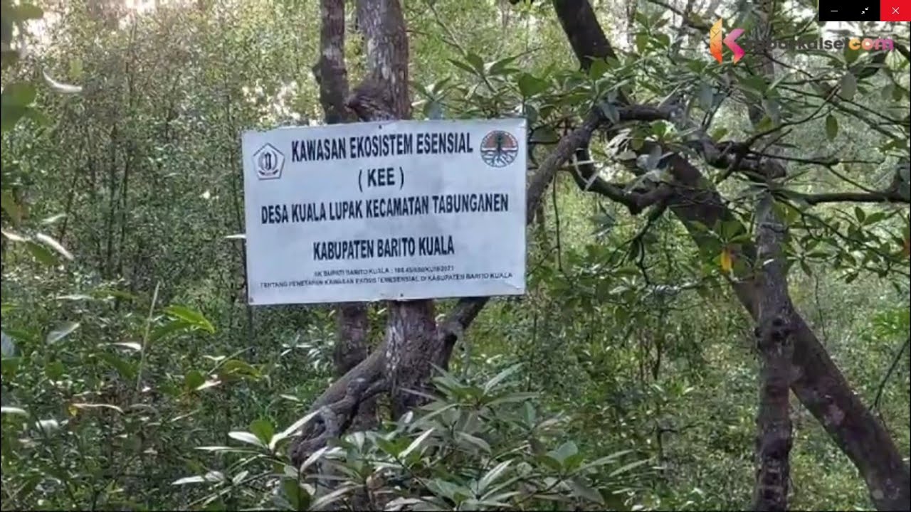 KEE Kuala Lupak, Benteng Hidup Warga di Ujung Selatan Batola