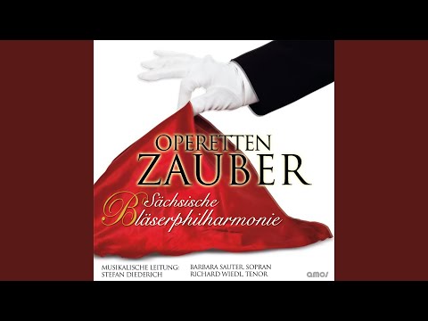 Gräfin Mariza: Arie. «Komm Zigan»