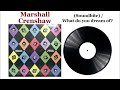What Do You Dream Of? - Marshall Crenshaw