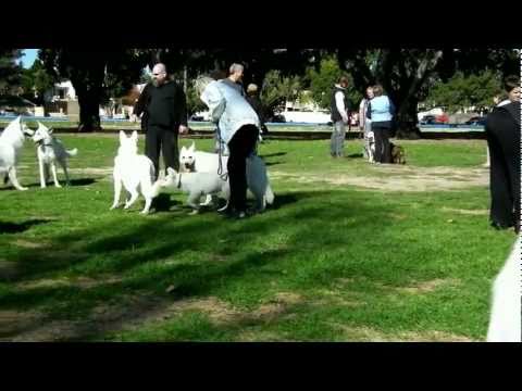 WSSDCA June 2011 Funday no audio