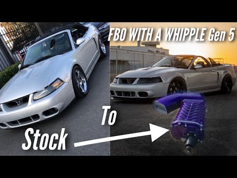 Transforming My SVT Cobra from STOCK to FULL BOLT ON With a WHIPPLE GEN 5 SUPERCHARGER