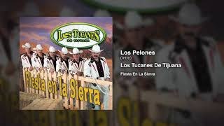 Los Pelones - (Intro) – Los Tucanes De Tijuana (Audio Oficial)