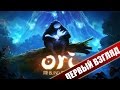 Шедевр который попал прямо в душу - ORI and the Blind Forest 