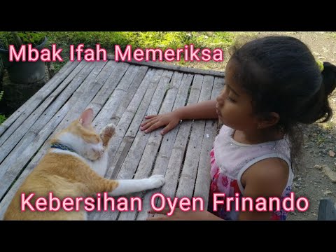 Mbak Ifah Memeriksa || Kebersihan Oyen Frinando