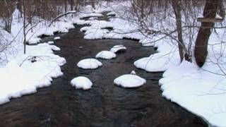 Relaxing Sounds of a Flowing Stream