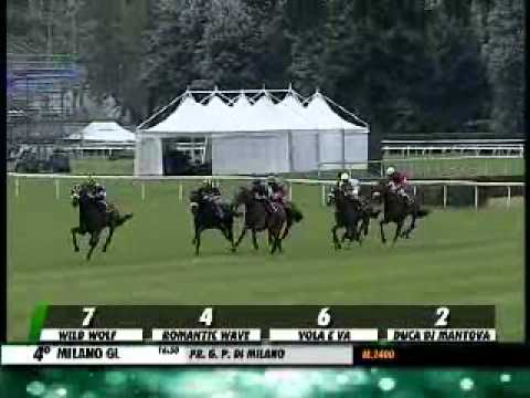 09/06/2013, Milano , Premio G. P. Di Milano