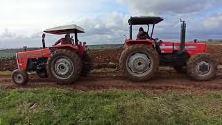 Massey Ferguson 276 Gold 4 2 75HP Landini 8865 4 4