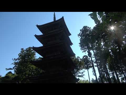 Five-storied pagoda of Myosenji Temple in Sado City