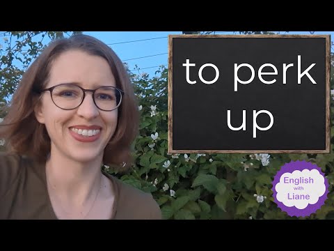 Phrasal Verb - to perk up