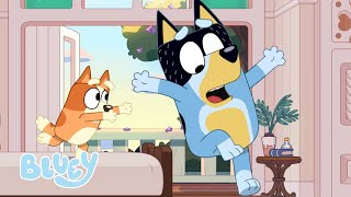 Güçlü İksir 💪 🧪 | YEPYENİ BLUEY KISALAR ✨ 📺 | Bluey Türkçe Resmi Kanal