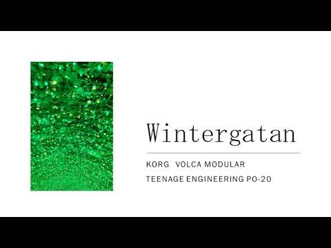 Wintergatan / volca modular + po-20