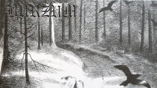 Burzum - Inn I Slottet Fra Droemmen