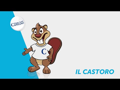 Siamo tutti Capitano - Il Castoro
