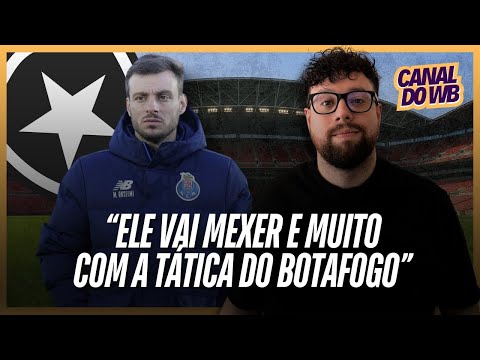 MARTÍN ANSELMI AT BOTAFOGO - HOW DOES HE PLAY?