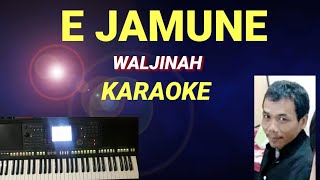 Download lagu E JAMUNE - WALJINAH KARAOKE mp3 Download lagu E JAMUNE - WALJINAH KARAOKE mp3