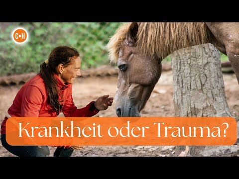 What your sick horse really wants to tell you