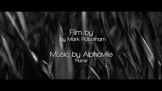 Alphaville - Flame