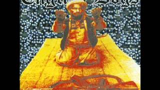 english dogs-face pollution