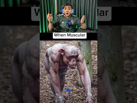 Hayvanlar Kas Yapsa Nasıl Olur?