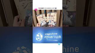 【#setlog】お友達と遊んだ日の1日 #shorts
