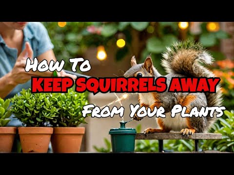 Keep Squirrels Away from Your Potted Plants with This DIY Solution