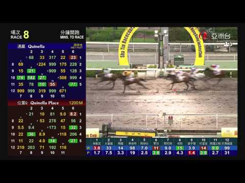 01/07/2013 (738) 飛躍之駒 (M172) 黎海榮