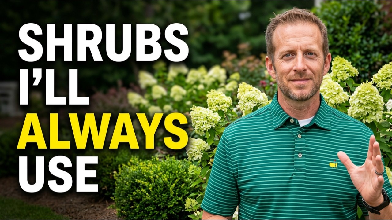 10 Shrubs I'll ALWAYS Use After 25 Years of Landscaping