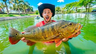 COMPREI MUITOS TUCUNARE PARA A REPRESA DA FAZENDA