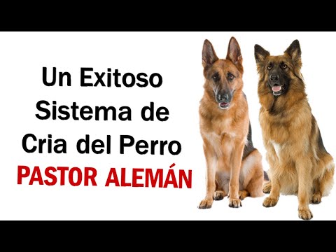 , title : 'Una Exitoso Sistema de Cría del Perros Pastor Alemán [Coto de Lobos]'