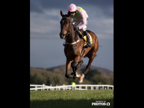 Douvan - The Horse Who Makes It Look A ''Walk In The Park''