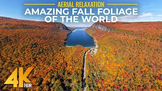[4K HDR] Stunning Fall Foliage of the World - Drone Views of Vibrant Autumn + Real Nature Sounds