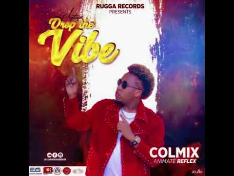 Mixtape Drop The Vibe ( Colmix Ft Reflex ) 2020