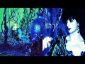 Enya - Shepherd Moons [full album]