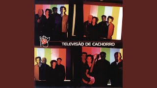 Televisão de Cachorro