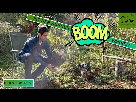 Hühnerwelt 71 - Ist der Hühnerboom vorbei?