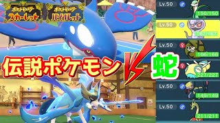 【ポケモンSV】謹賀新年！蛇統一で伝説ポケモンを狩る無謀なおはなし