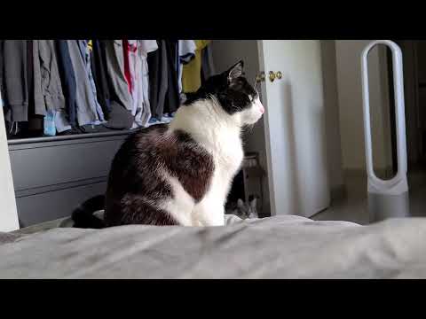 I dont like being stared at