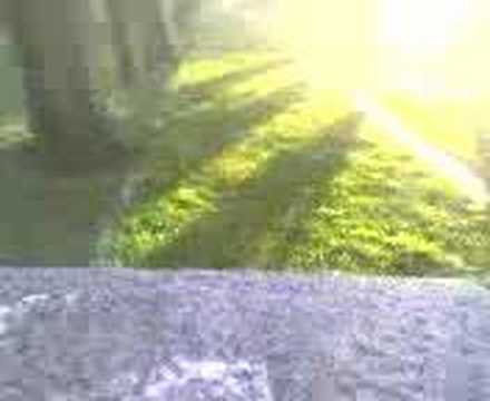 Pomelasca 20/05/2007 - Batman & Robin