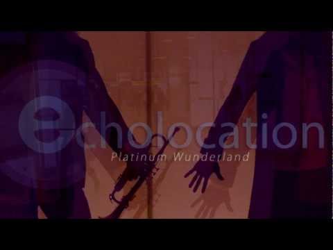 Echolocation - Platinum Wunderland - Album Teaser Mix