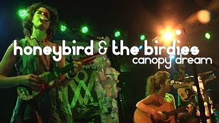 honeybird & the birdies // canopy dream