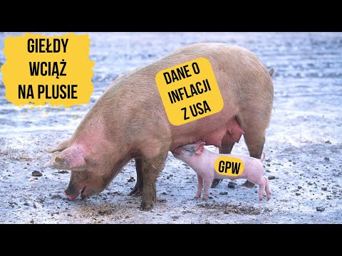 Kolejny dzień wzrostów, bessa już za nami? - Woodpecker, Unimot, Bloober Team