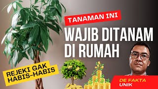 Download lagu 4 Tanaman Pembawa Rezeki di Depan Rumah mp3
