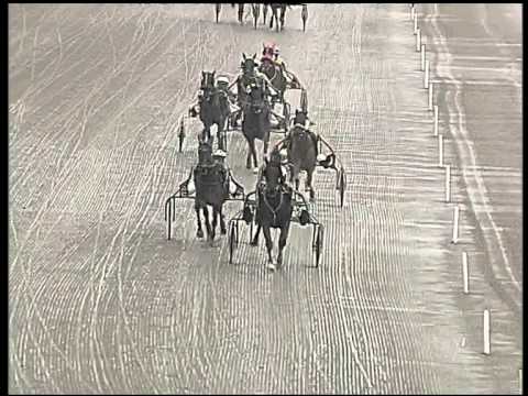 Trotto 05/03/2015 - 1° corsa